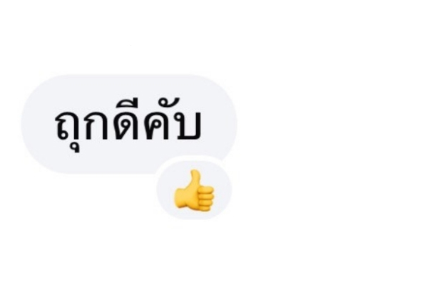 รีวิว copy 2